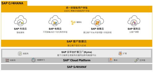 SAP商務(wù)云產(chǎn)品自學(xué)指南 電商云、銷售云與營(yíng)銷云業(yè)務(wù)知識(shí)入門(mén)